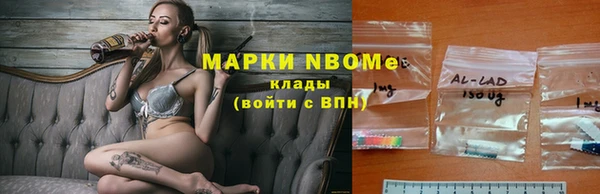 гашик Надым