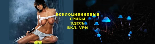прущая мука Болхов