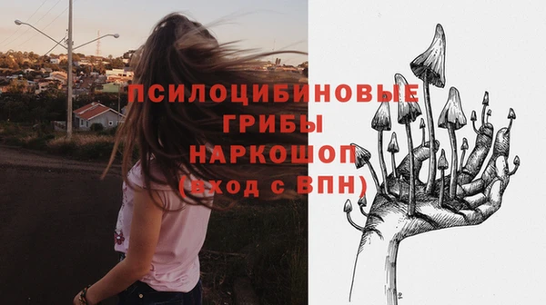 ешки Навашино
