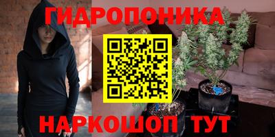 соль ск Бийск