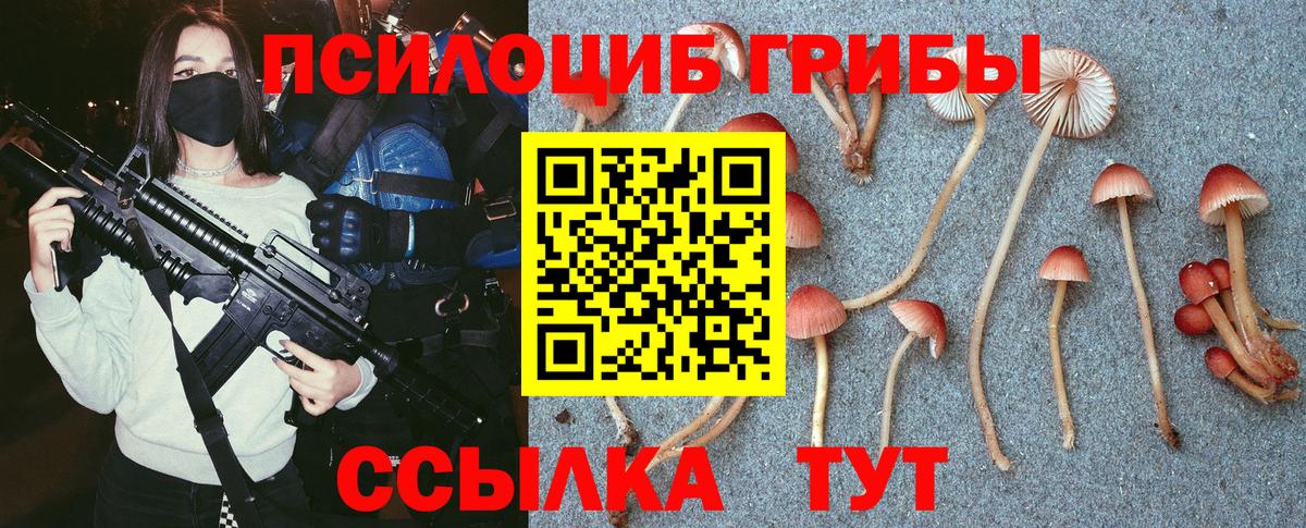 Зеленодольск  Галлюциногенные грибы мицелий  Вход с VPN 